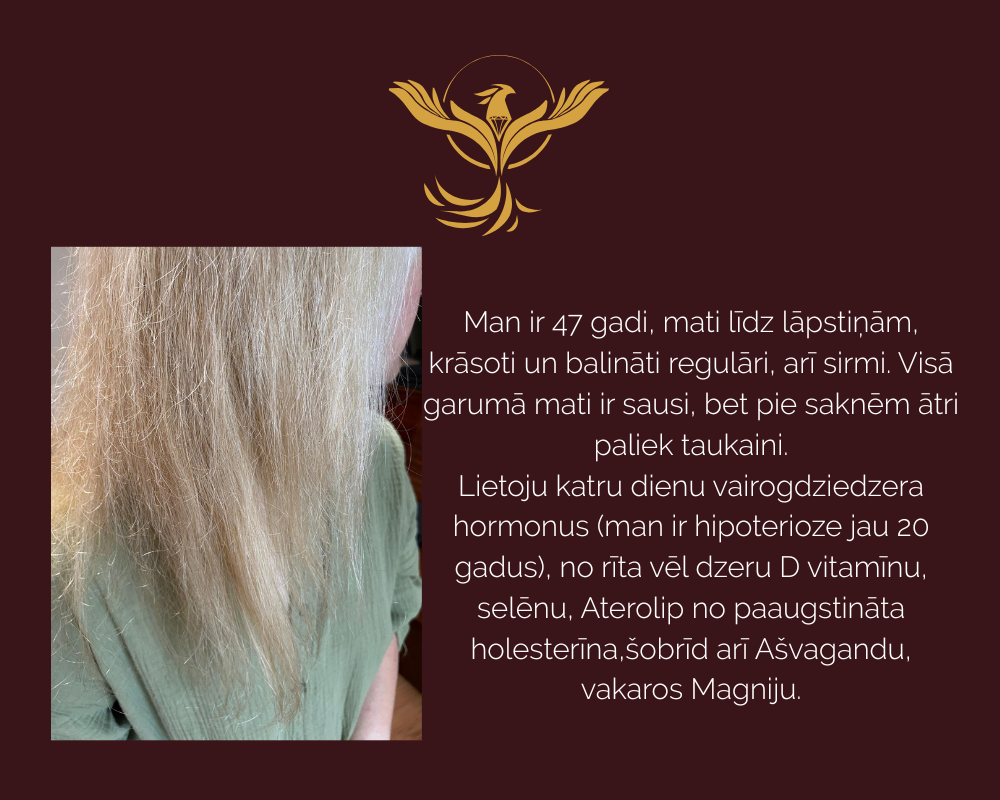KUULE WEB (55)