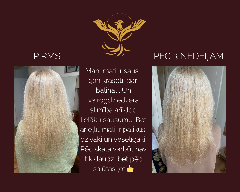KUULE WEB (56)