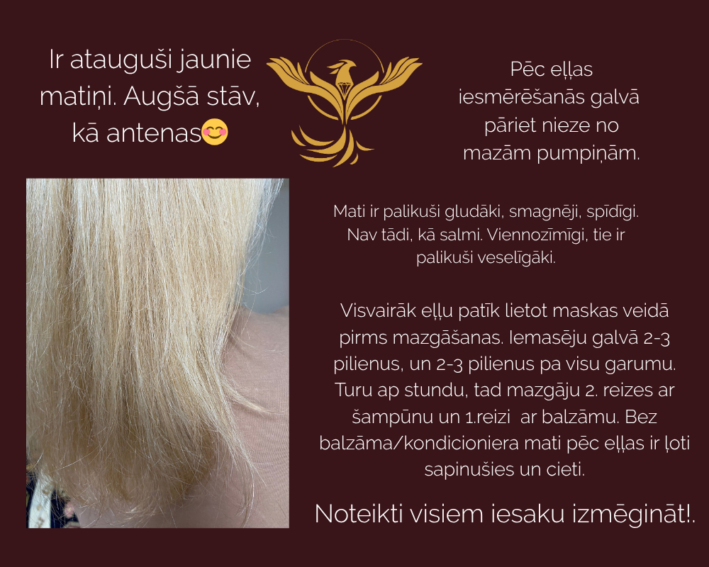 KUULE WEB (57)